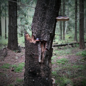 Mężczyzny  po przejściach port...
