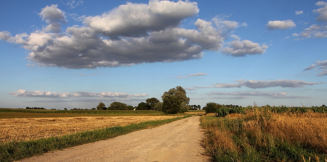 Ciemień