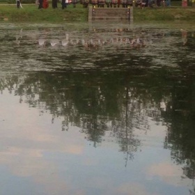 20915228_687809594737468_82439...