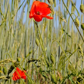 Cykl - wypad za miasto