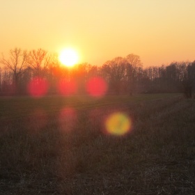 Zach&oacute;d w Laskach
