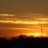 DSC01795