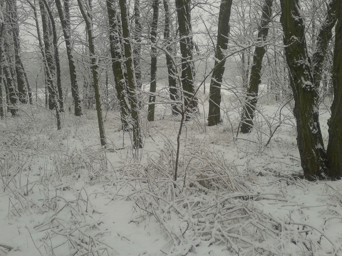 20140115_113432