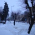 DSC09888
