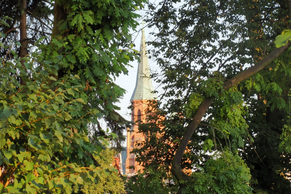 DSC01192