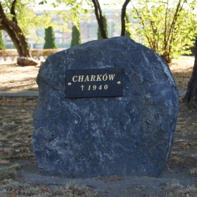 Turek ul. Kościuszki - Liceum