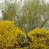 DSC08055