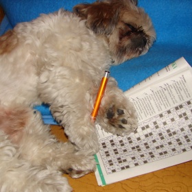 Śpiący pasjonat krzyż&oacute;wek.