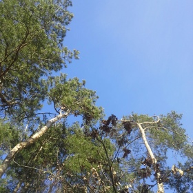 20170326_160855_resized