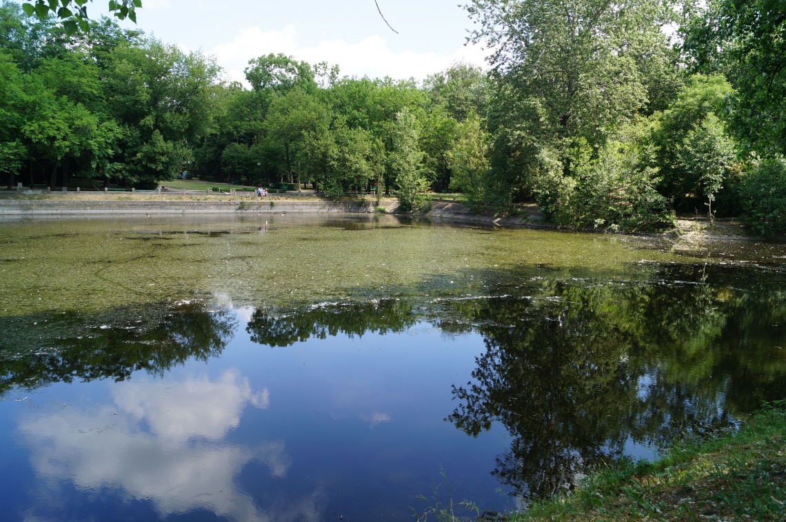 Turek Park