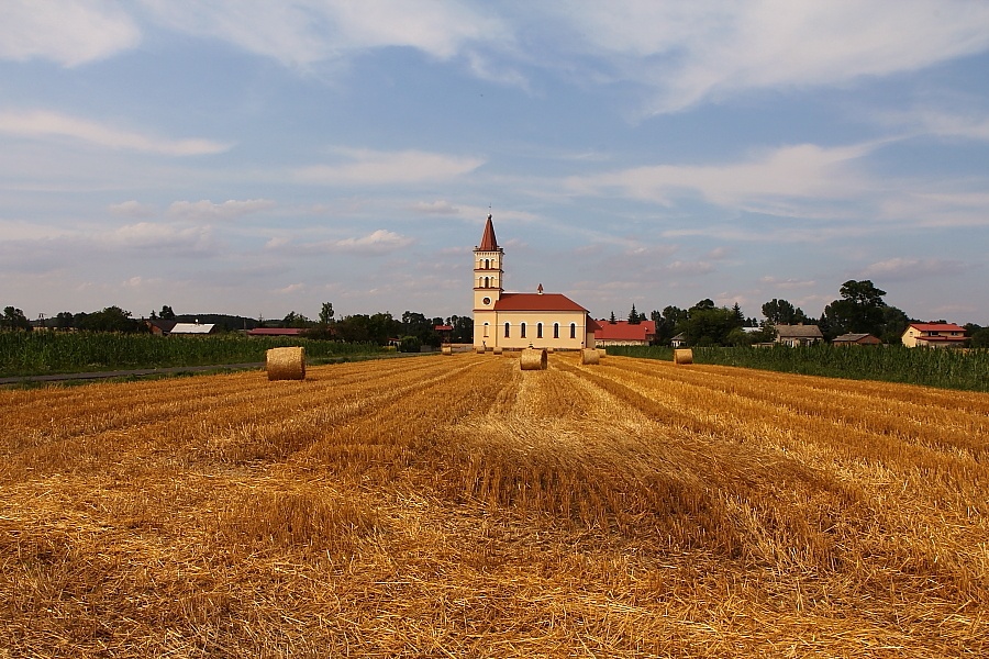 Kowale Pańskie