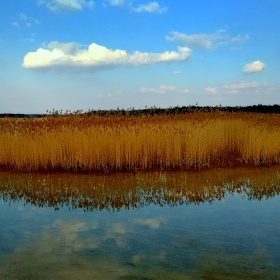 IMG_20160324_153205389