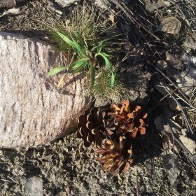 20170326_161114_resized