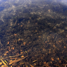 Niedzielny spacer cd