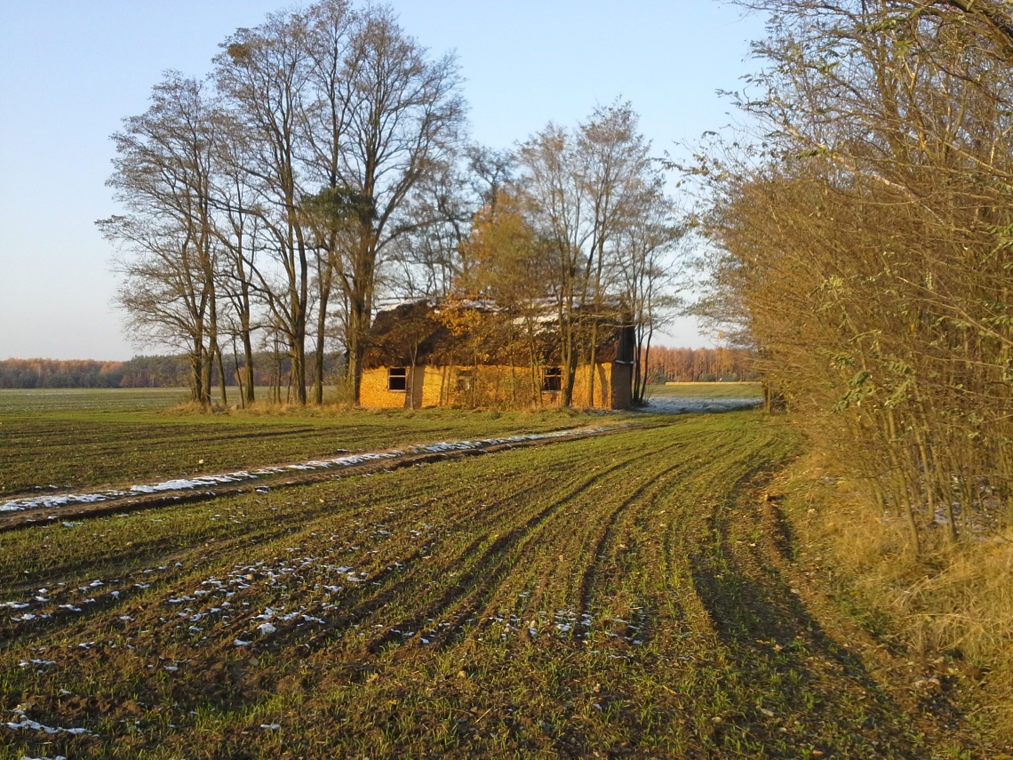 20161112_144456