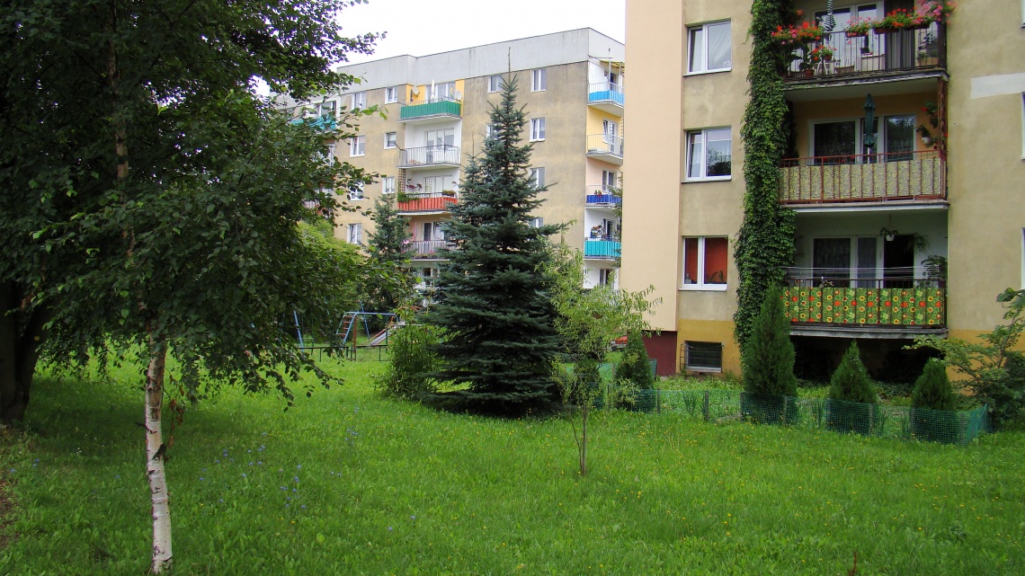 DSC09231