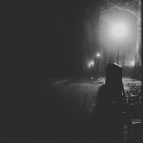 Park_nocą