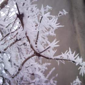 19223_487534071296816_84417768...