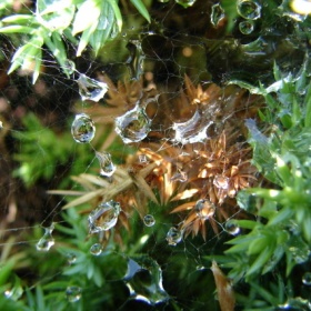 Kropy. krople i kropelki III